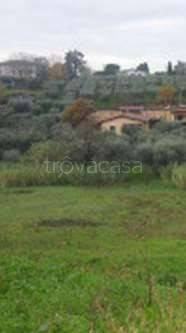 terreno agricolo in vendita a Velletri