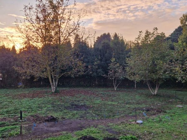 terreno agricolo in vendita a Velletri