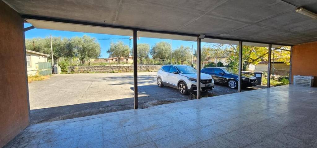 negozio in vendita a Velletri