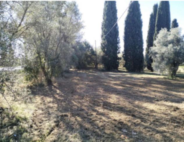 terreno agricolo in vendita a Velletri