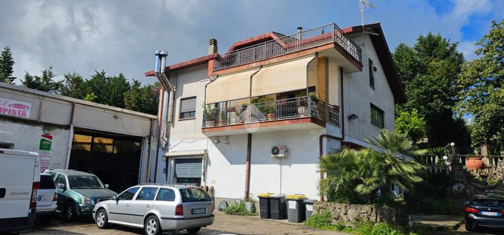 negozio in vendita a Velletri