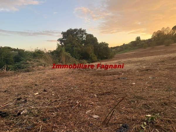 terreno agricolo in vendita a Velletri