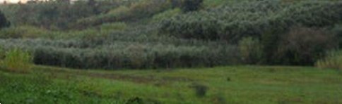 terreno edificabile in vendita a Velletri