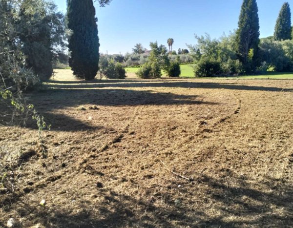 terreno agricolo in vendita a Velletri