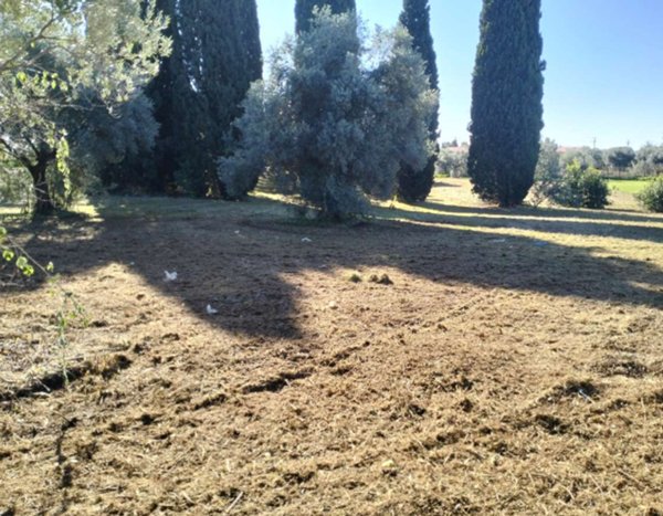 terreno agricolo in vendita a Velletri