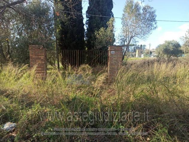 terreno agricolo in vendita a Velletri