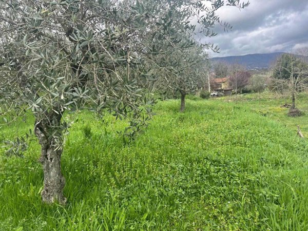 terreno agricolo in vendita a Velletri