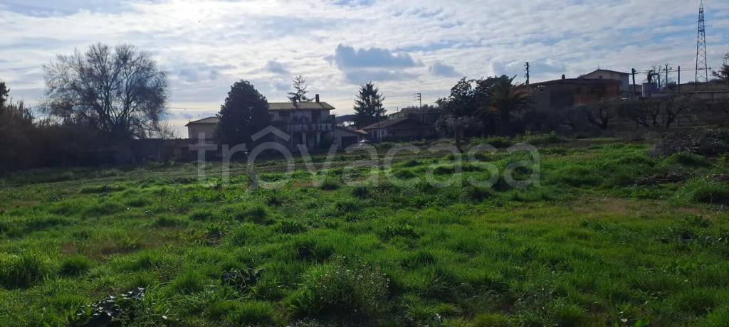 terreno agricolo in vendita a Velletri