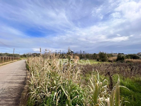 terreno agricolo in vendita a Velletri