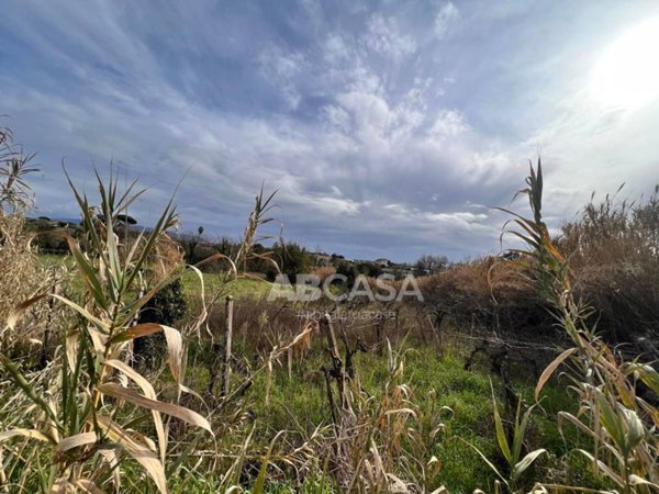 terreno agricolo in vendita a Velletri