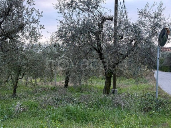 terreno agricolo in vendita a Velletri