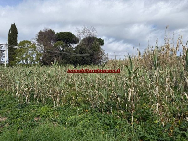 terreno agricolo in vendita a Velletri