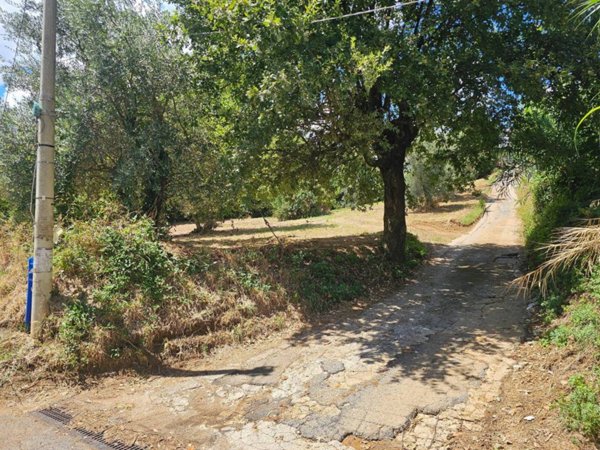 terreno agricolo in vendita a Velletri