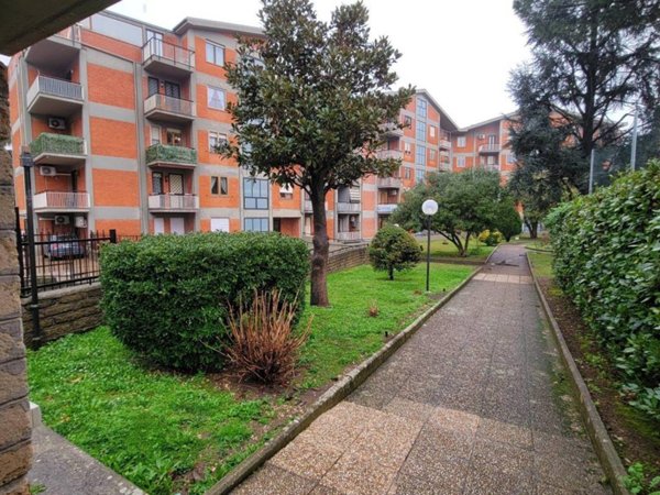 appartamento in vendita a Velletri