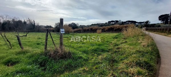 terreno agricolo in vendita a Velletri