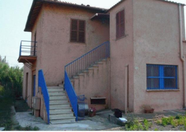 negozio in vendita a Velletri