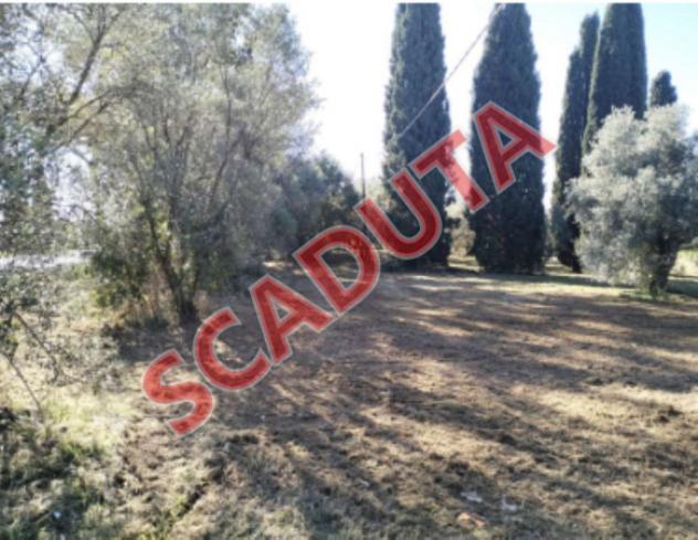 terreno edificabile in vendita a Velletri