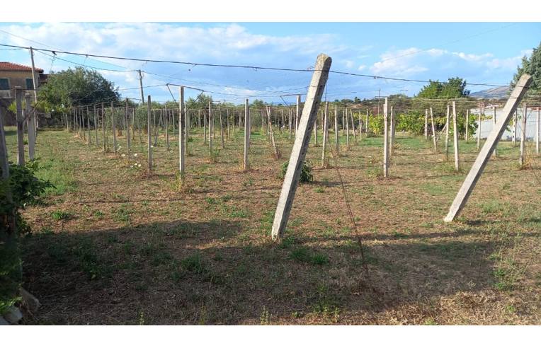 terreno agricolo in vendita a Velletri