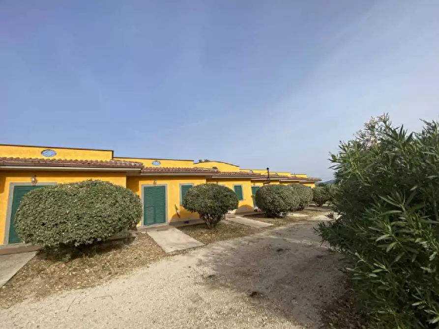 appartamento in vendita a Velletri