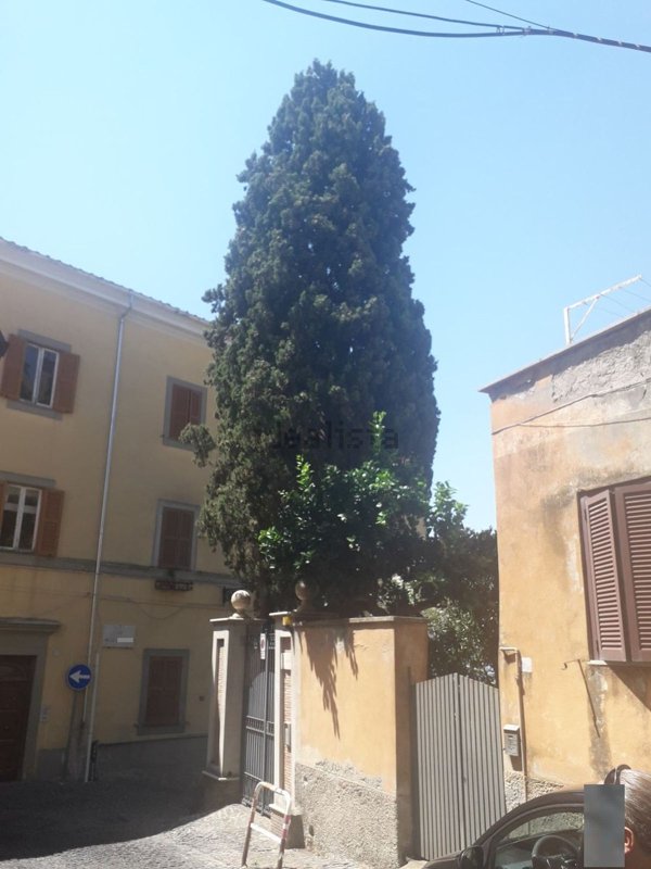 appartamento in vendita a Velletri