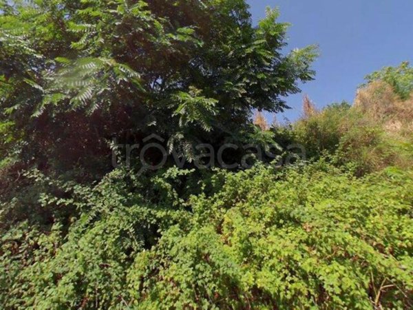 negozio in vendita a Velletri