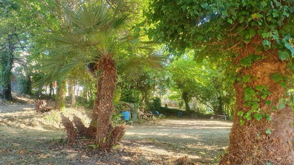 terreno agricolo in vendita a Velletri