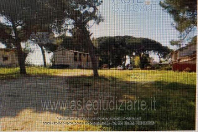 locale commerciale in vendita a Velletri