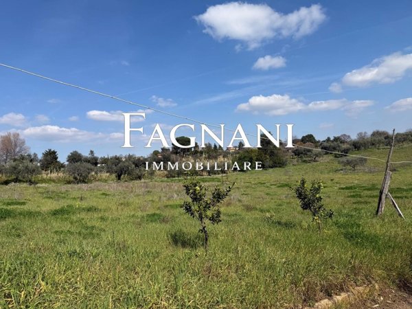 terreno agricolo in vendita a Velletri