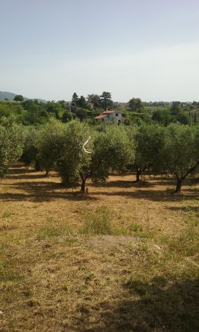 terreno agricolo in vendita a Velletri