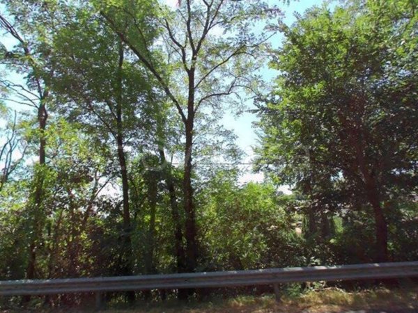 appartamento in vendita a Velletri