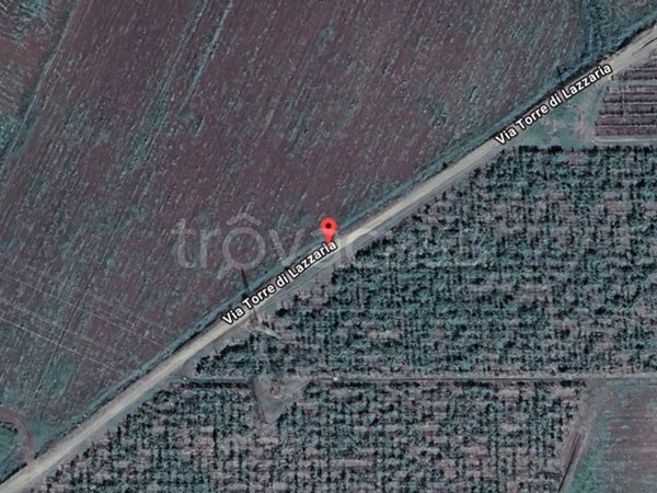 locale commerciale in vendita a Velletri