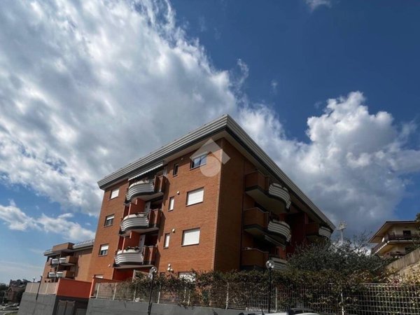 appartamento in vendita a Velletri