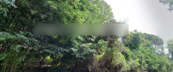 terreno agricolo in vendita a Velletri