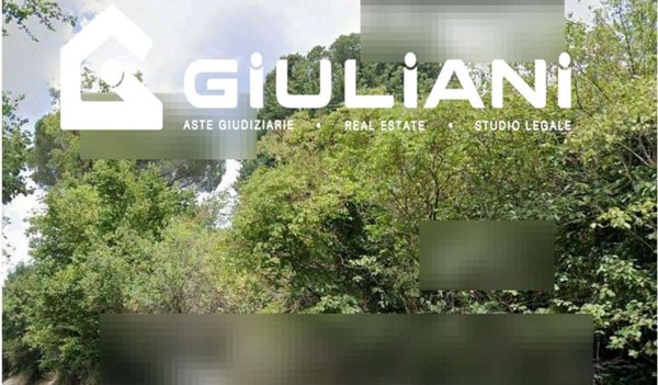 terreno agricolo in vendita a Velletri