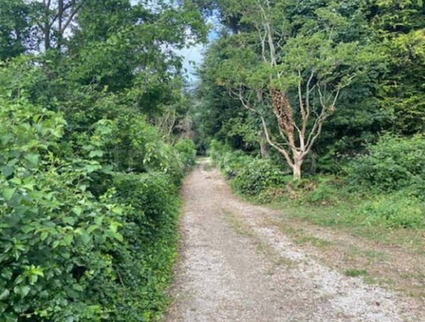 terreno edificabile in vendita a Velletri