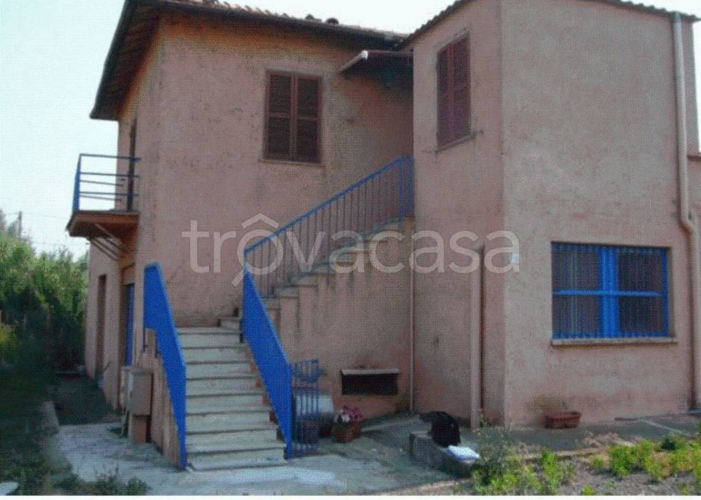 negozio in vendita a Velletri