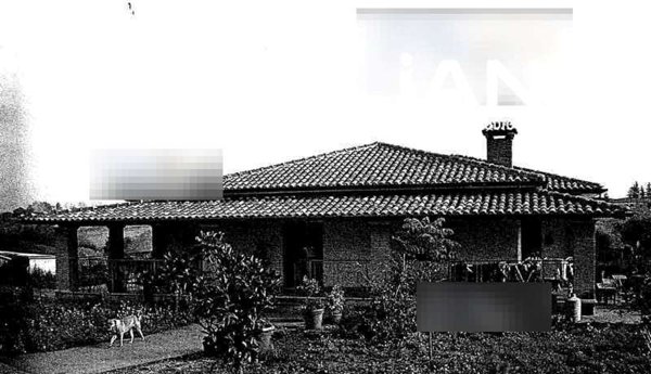 azienda agricola in vendita a Velletri