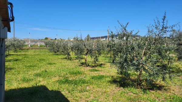 terreno agricolo in vendita a Velletri