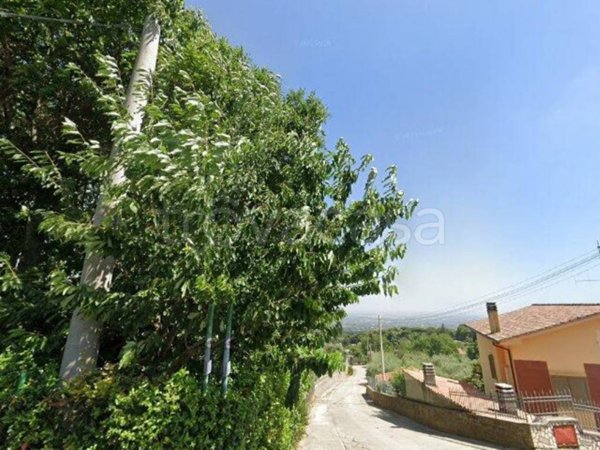 appartamento in vendita a Velletri