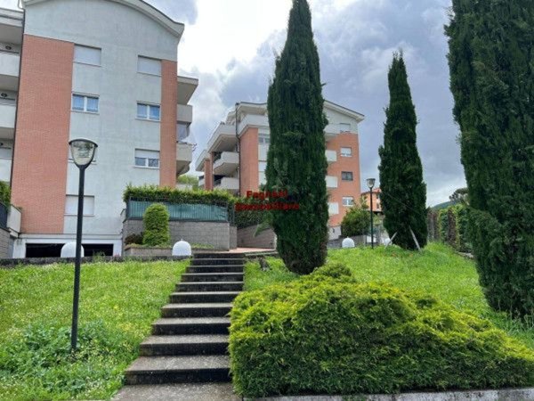 appartamento in vendita a Velletri