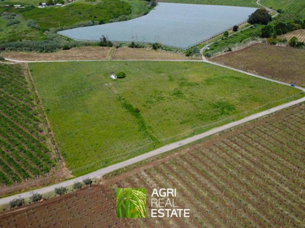 terreno agricolo in vendita a Velletri