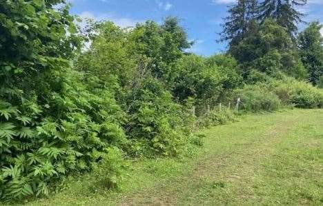 terreno agricolo in vendita a Velletri