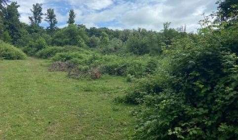 terreno agricolo in vendita a Velletri