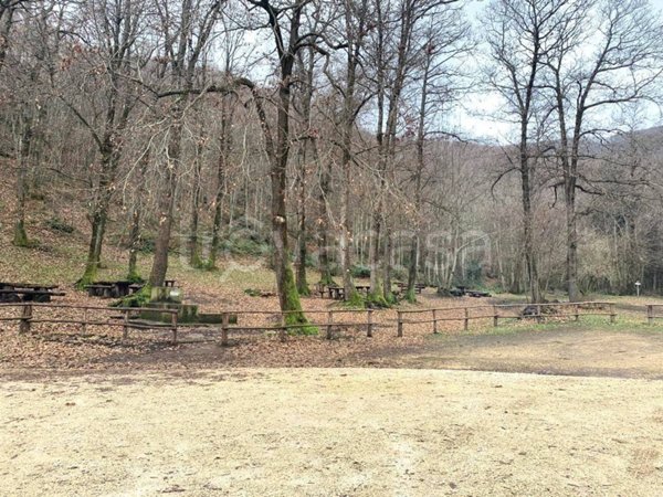 terreno agricolo in vendita a Velletri