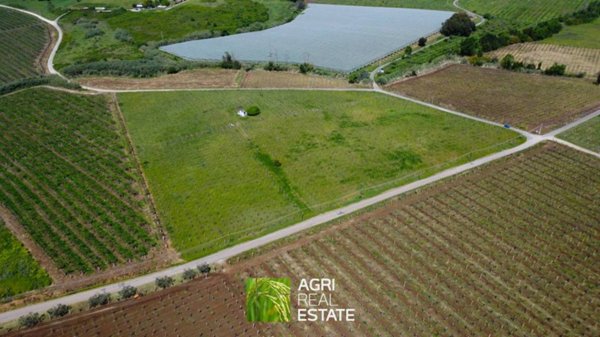 terreno agricolo in vendita a Velletri