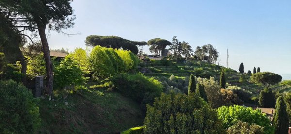 appartamento in vendita a Velletri