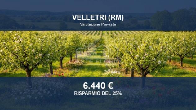 terreno agricolo in vendita a Velletri