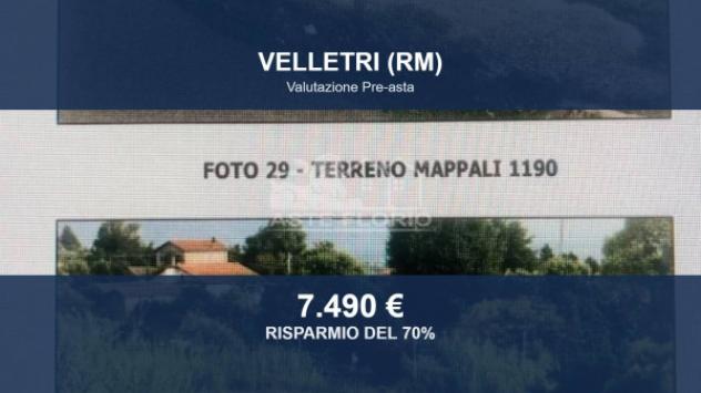 terreno agricolo in vendita a Velletri