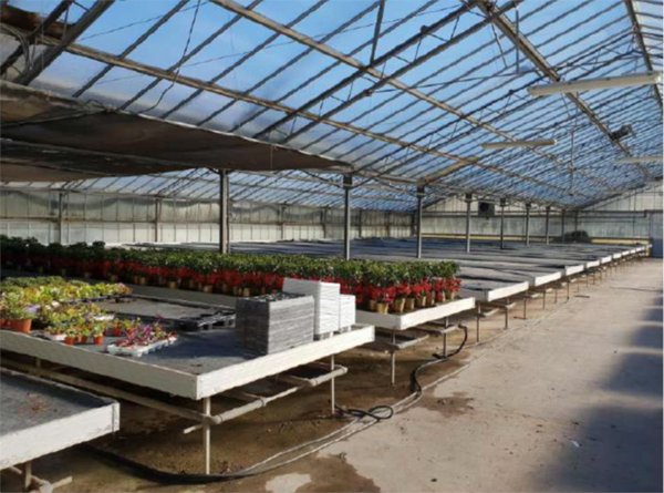 ufficio in vendita a Velletri