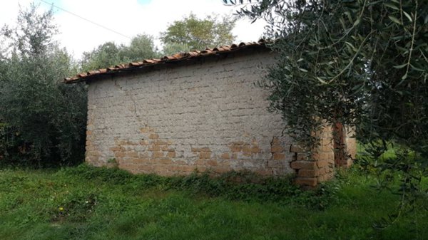 terreno agricolo in vendita a Velletri